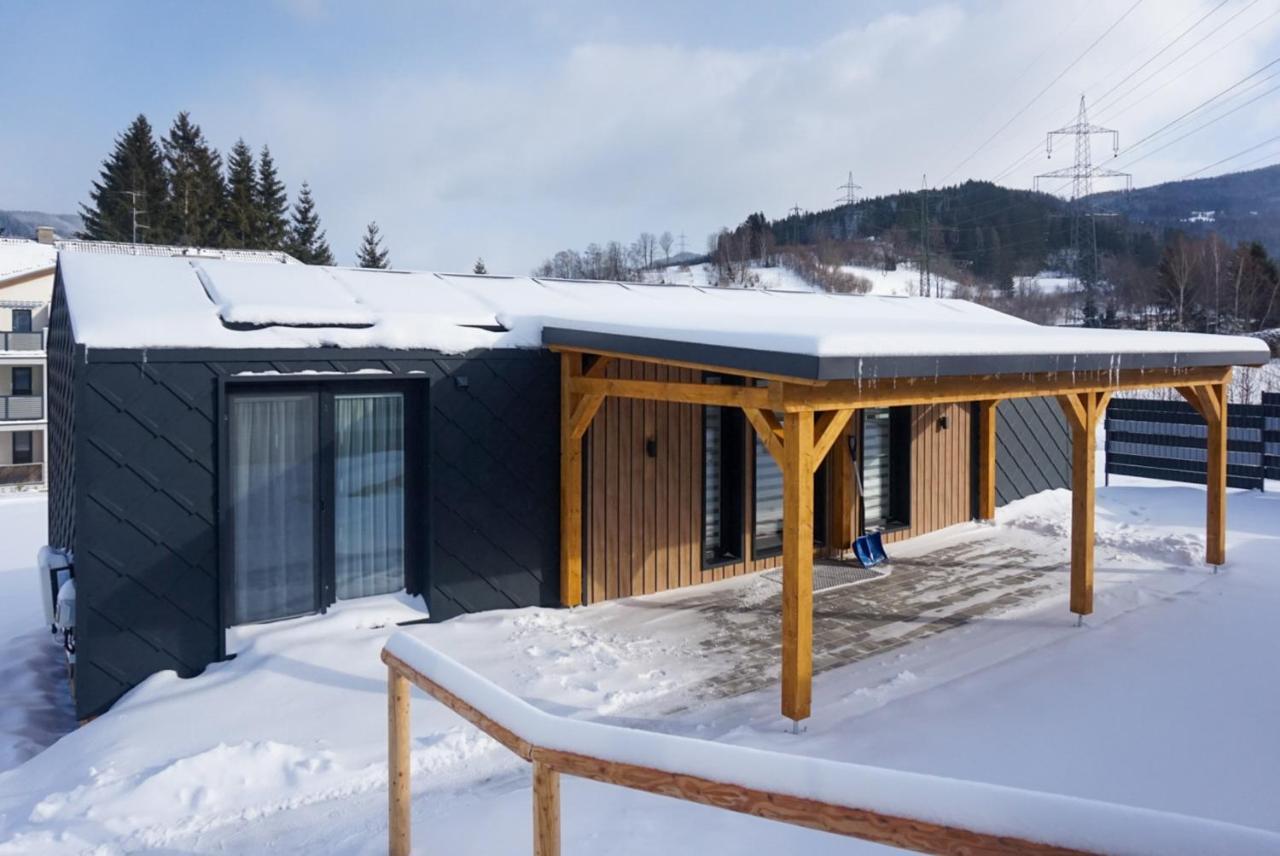 Chalet Stuhleckblick-Ferienhaus Direkt An Der Piste Und Mit Eigener Sauna Spital am Semmering Luaran gambar